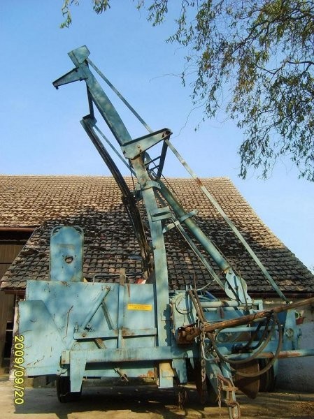 SPRZEDAM Karlik  Z 642 — zdjęcie 4