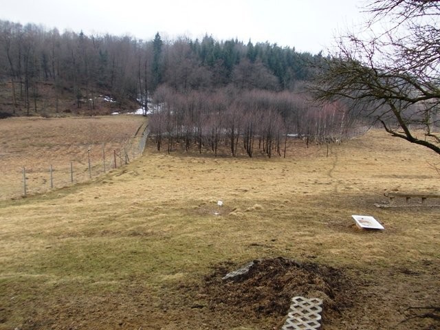Gospodarstwo 2,12 Ha z domem — zdjęcie 3