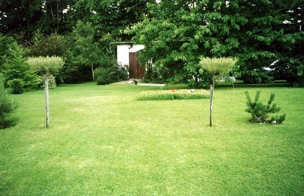 Piękna duża  zagospodarowana działka — zdjęcie 6