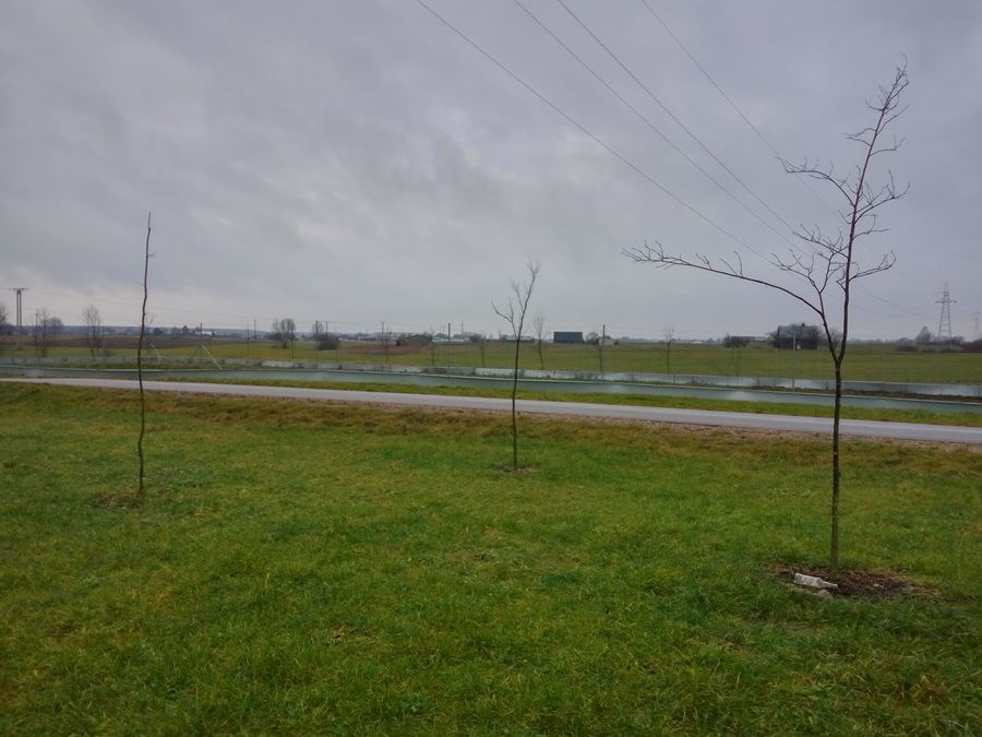 Działka w możliwością zabudowy -Okazja