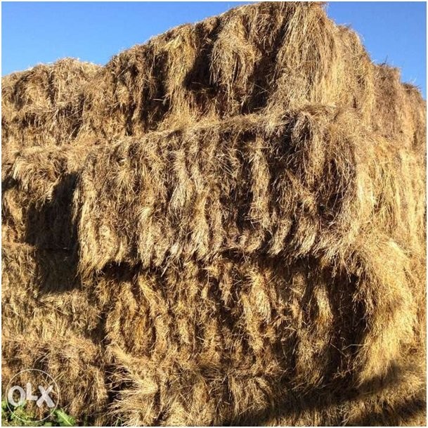 Siano kostka80X80X120 — zdjęcie 4