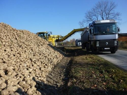 Wysłodki buraczane mokre,prosto zsypu z Kampanii 2020Krasnystaw