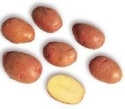 Sprzedam ziemniaki