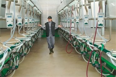 Hala udojowa GEA Westfalia ( nowa i używana) — zdjęcie 1