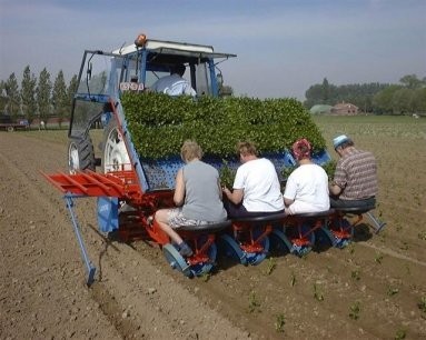Neue Lauwers HSP Pflanzmaschine (High Speed) — zdjęcie 1