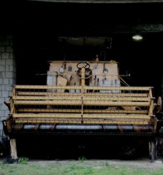SPRZEDAM BIZON 56 — zdjęcie 1