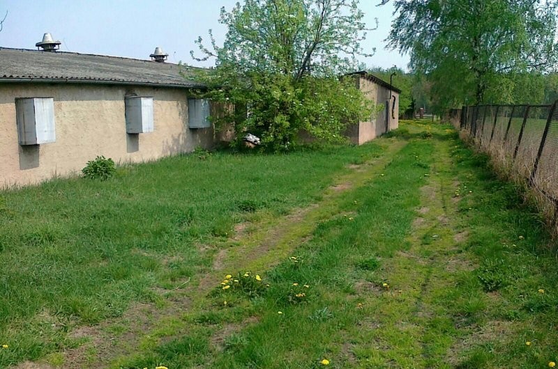 GOSPODARSTWO ROLNE-KURNIK — zdjęcie 4