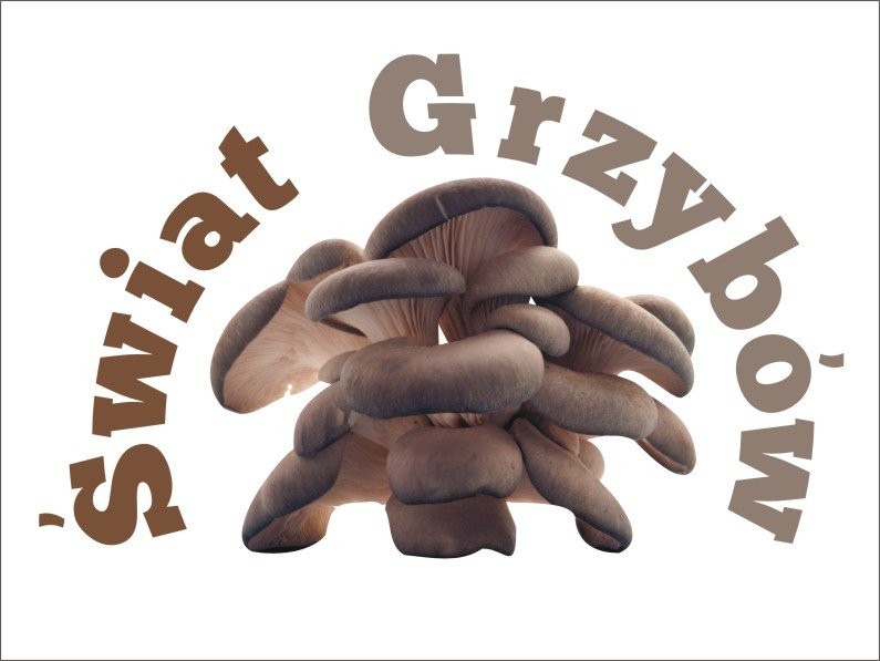 Boczniak Szczecin Sprzedam