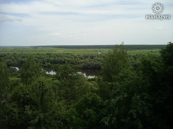 Ukraina.Staw rybny35ha+torfowiska30ha.Wydzierzawie — zdjęcie 3