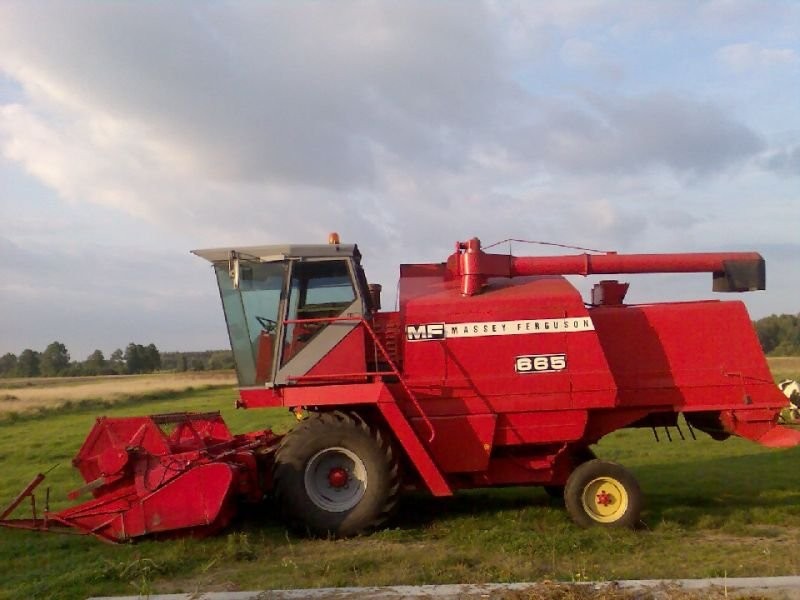 Kombajn zbożowy  Massey Ferguson 665 — zdjęcie 2