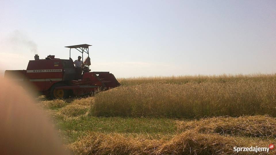 Okazja! Kombajn zbożowy Massey Ferguson sprzedaż lub zamiana — zdjęcie 8