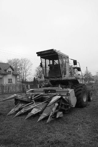 Sieczkarnia samojezdna New Holland do KUKURYDZY — zdjęcie 1