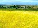 Ukraina.Gospodarstwo rolne 800ha z zabudowaniami. — zdjęcie 3