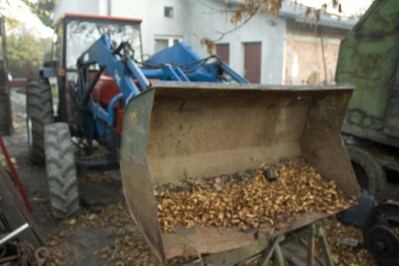 Ciągnik CASE 685 4WD Z ŁADOWACZEM — zdjęcie 5