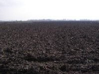 Działka rolna