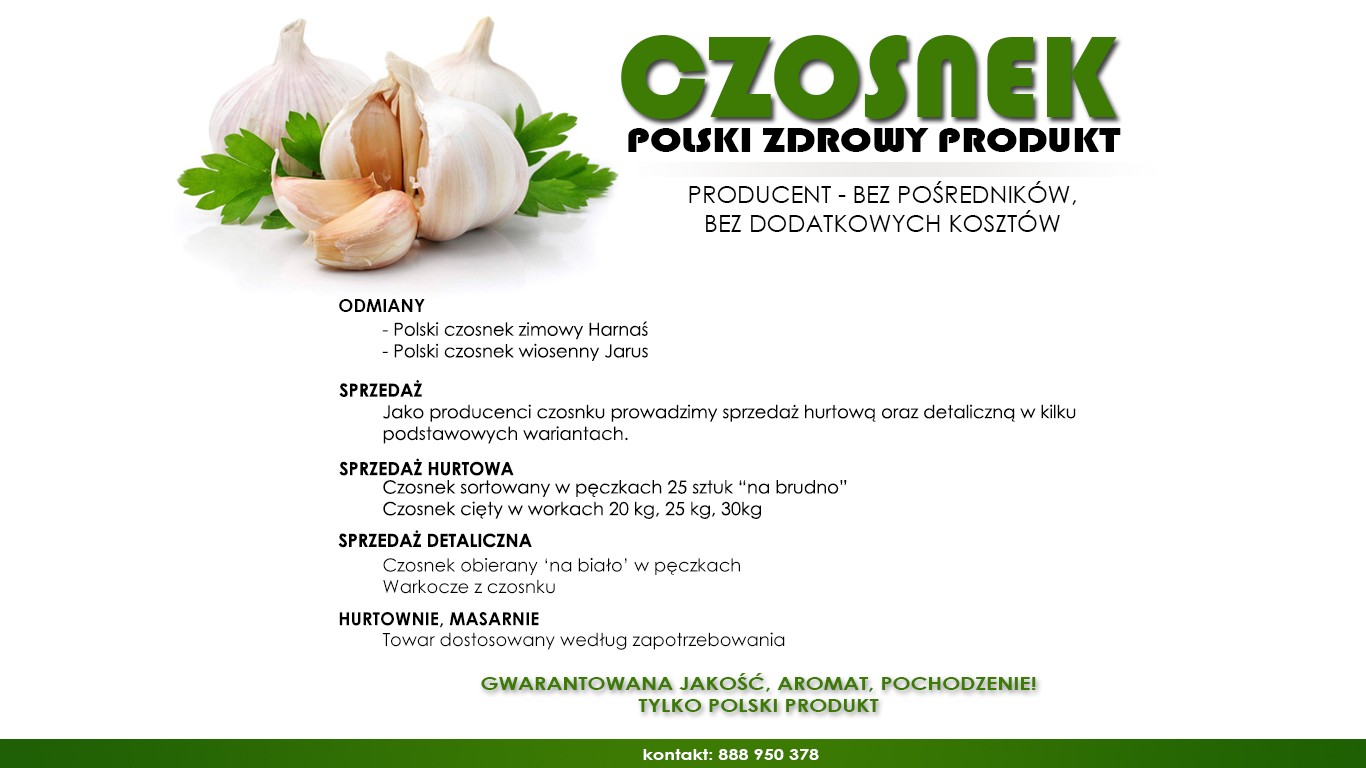 Sprzedam czosnek zimowy harnaś, wiosenny jarus od producenta