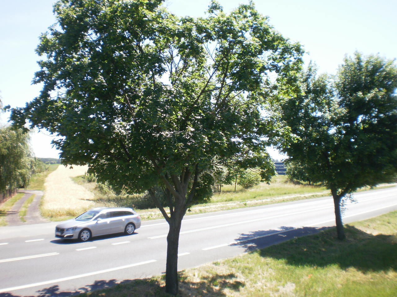 KAWCZYN k/Kościana sprzedam 9400 m2 — zdjęcie 1