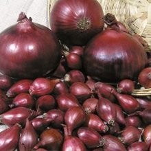 Dymka Cebuli Nasiona Cebuli Sadzeniaki Ziemniaka — zdjęcie 3