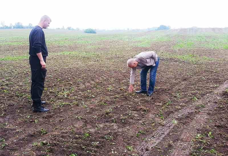 ziemia rolna, ziemia orna 25 h - 15.000 zł OKAZJA