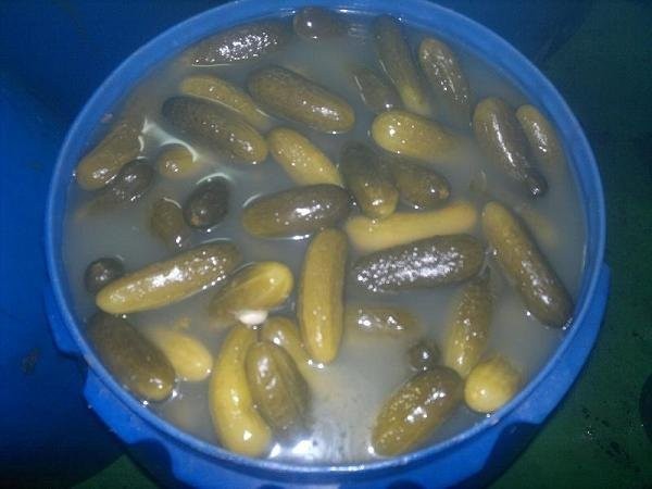 sprzedam ogórki kiszone