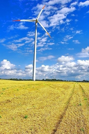 ..::teren pod elektrownie wiatrowe::..