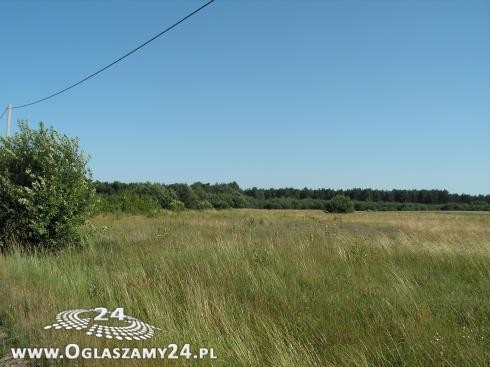 Działeczka na skraju lasu podlasie — zdjęcie 1