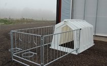 DOMKI DLA CIELĄT — zdjęcie 2