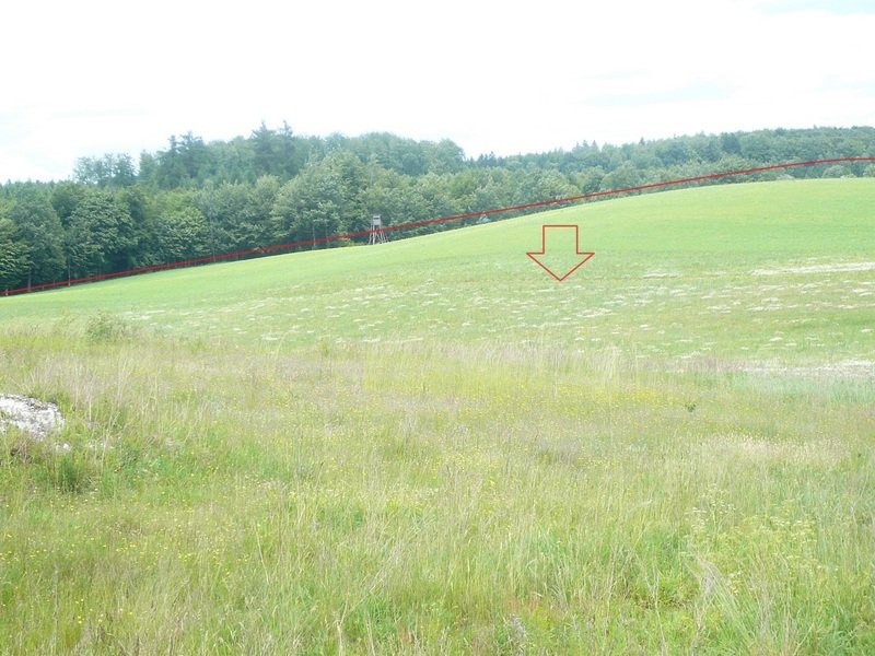 Sprzedam grunty rolne 47,56 ha w jednym kawałku — zdjęcie 5