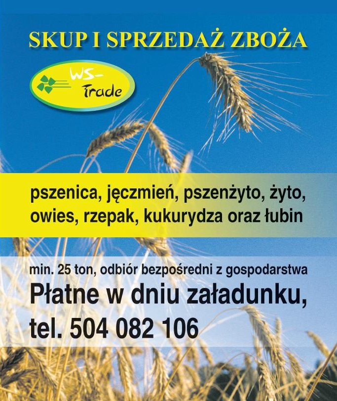 kupię owies- skup owsa 