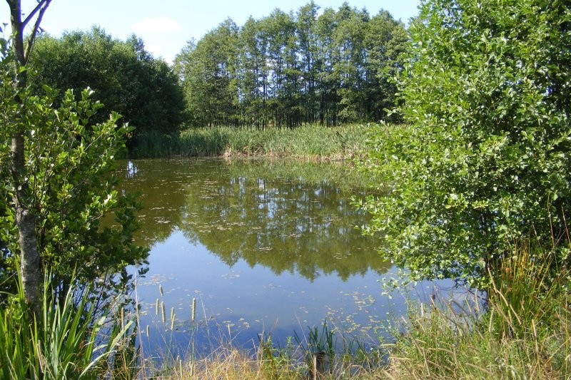 Gospodarstwo na Warmii — zdjęcie 2