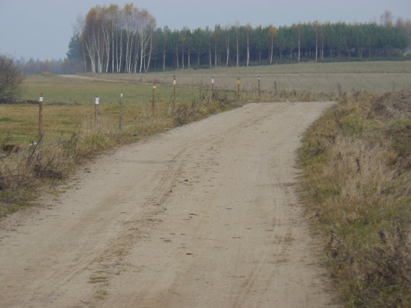 Sprzedam gospodarstwo rolne(siedlisko) 11ha ziemi — zdjęcie 3