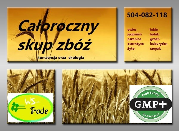Kupię groch
