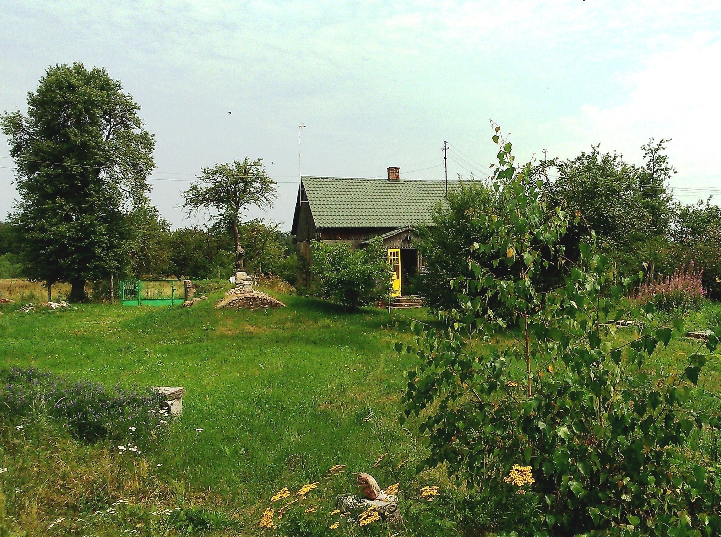 Pilnie : Siedlisko 3,17 ha Puszcza Stromiecka (ew. zamiana). — zdjęcie 1