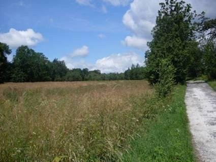 SPRZEDAM DZIAŁKĘ ROLNĄ Kotlina Kłodzka
