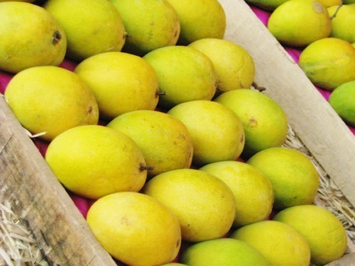 Wholesale Fresh Mango,Red star apples — zdjęcie 3