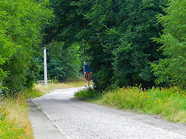 Santoczno - Działka budowlana o pow. 4400 m2 — zdjęcie 1