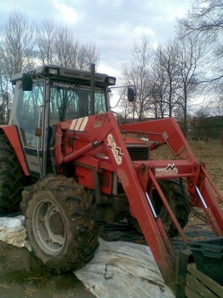 Massey Ferguson 3065 z turem — zdjęcie 1