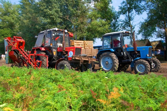  Ukraina.Sloma zbozowa,rzepakowa,lniana.Od 70 zl/tona.Grunty rolne