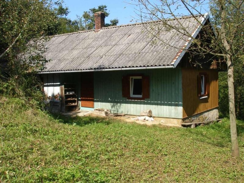 Sprzedam gospodarstwo rolne ok. 2 ha, dom, stodoła — zdjęcie 1