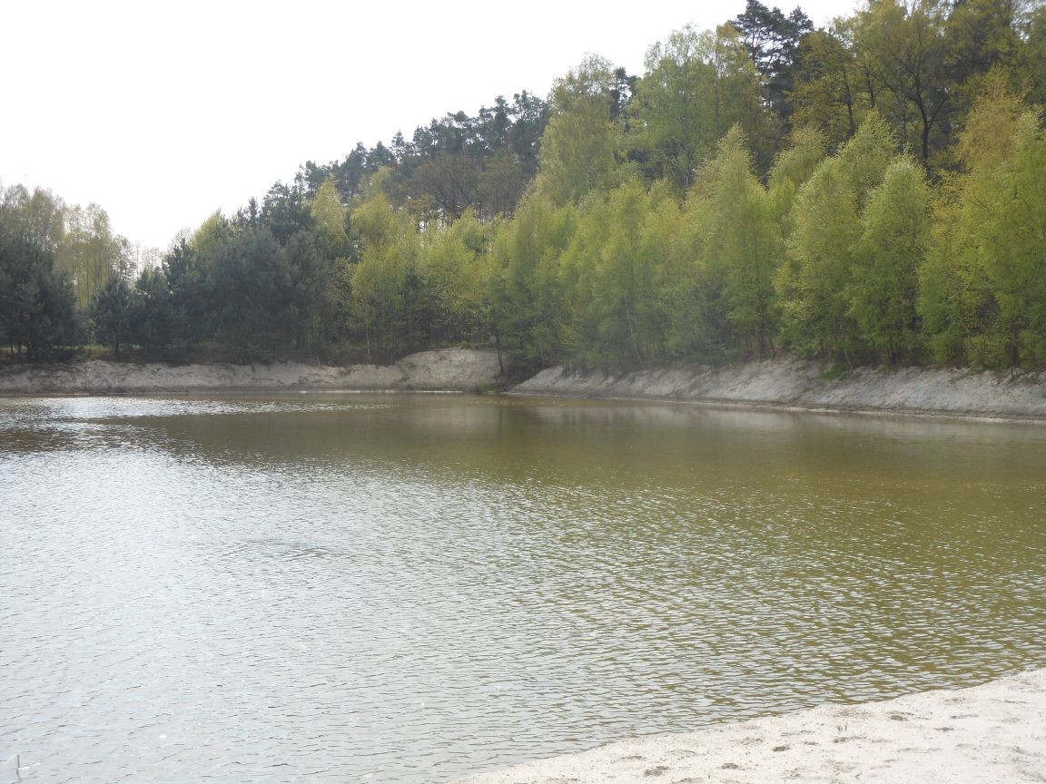 STAW HODOWLANY 1,5 ha — zdjęcie 2