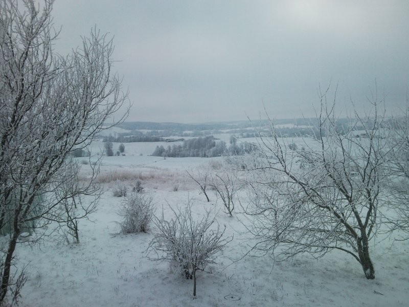 GOSPODARSTWO KOŁO SUWAŁK — zdjęcie 5