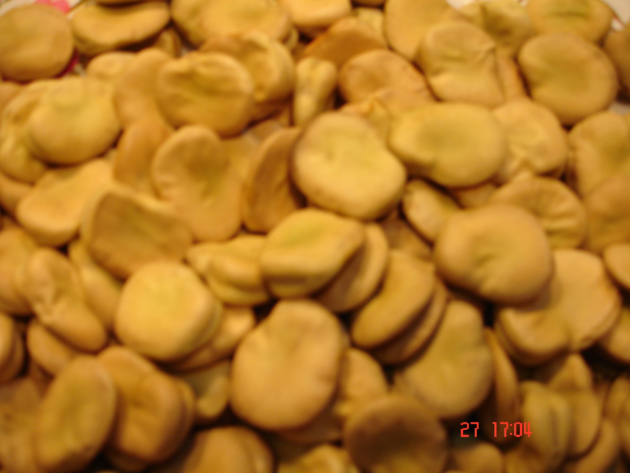 Bób Bachus, Bizon