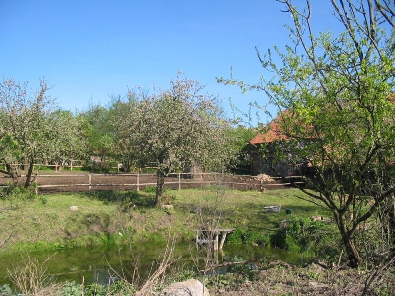 Gospodarstwo rolne 30,5ha — zdjęcie 2