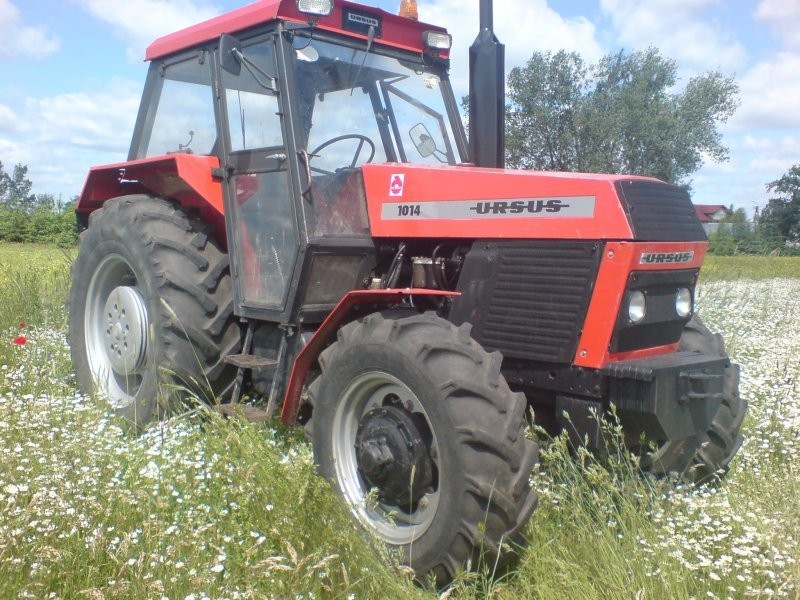 Kupię ursus 6-stkę 1614 1634 1734 1234 1214 pilne — zdjęcie 5