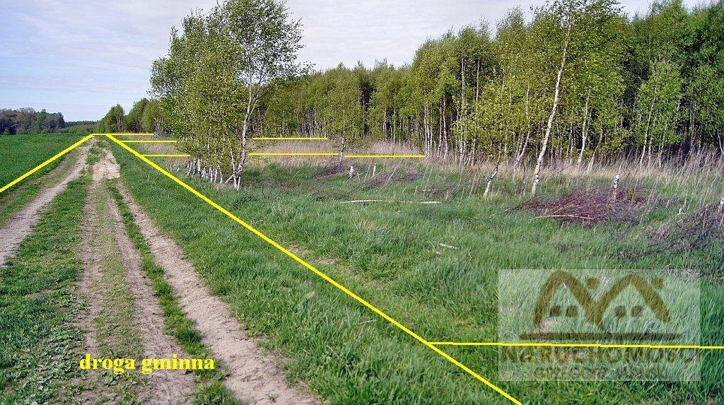 KOŁOBRZEG - 17 km (działki 3.000 m2 z lasem) — zdjęcie 2