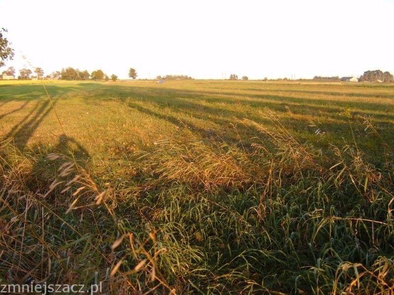 działaka rolna — zdjęcie 3