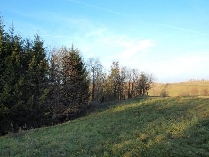 Mazury -duża działka budowlana na odludziu! 4500m2 — zdjęcie 5
