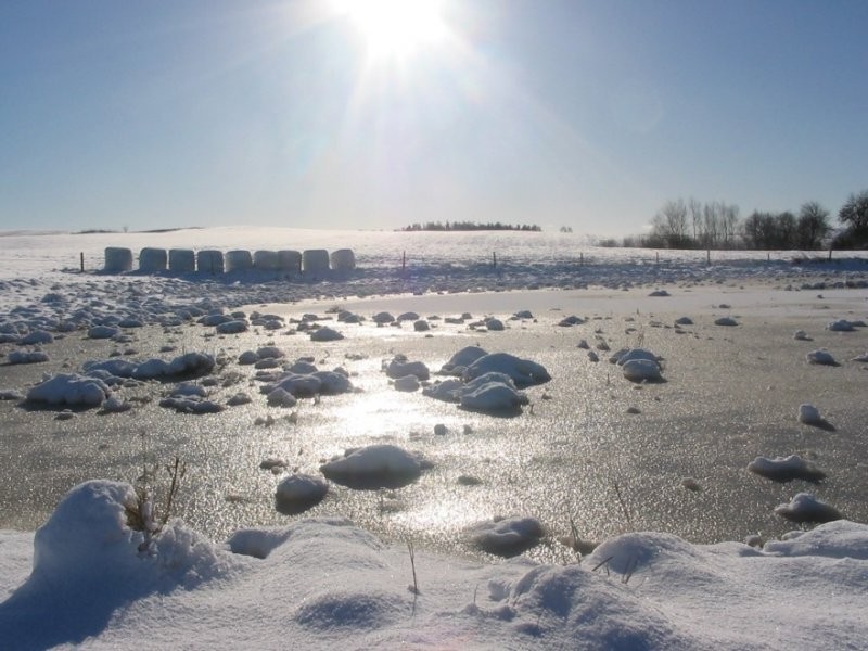 Gospodarstwo rolne 30,5ha — zdjęcie 1