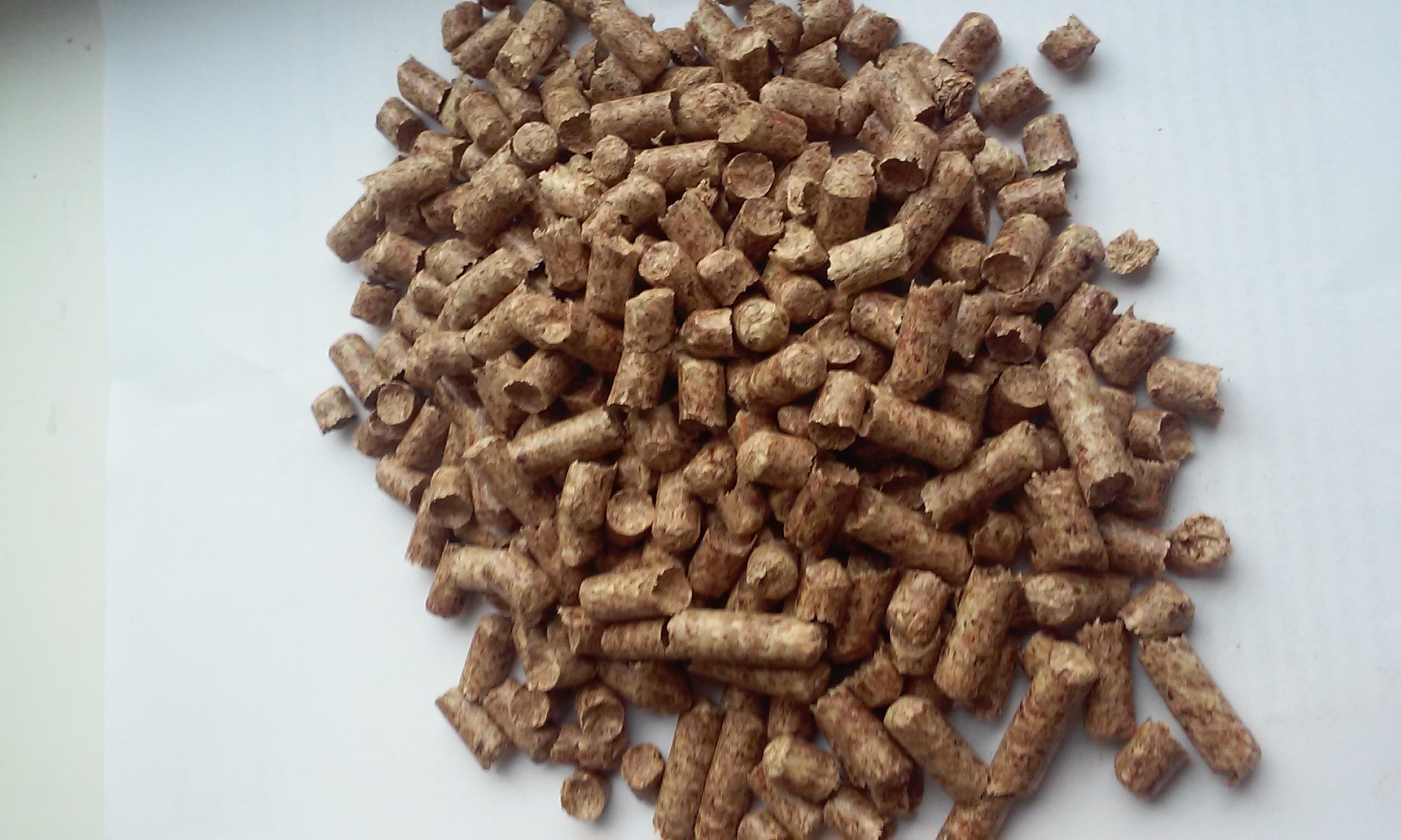 Pellet z Ukrainy — zdjęcie 2