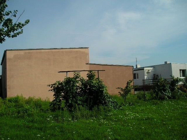 sad 4,5 HA + przetworstwo Poznan — zdjęcie 4